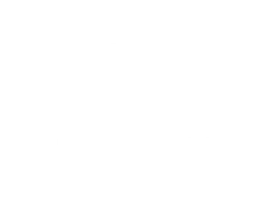 Drain Bros Logo